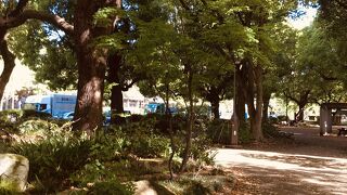 木々が多い公園