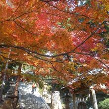 府中八幡神社