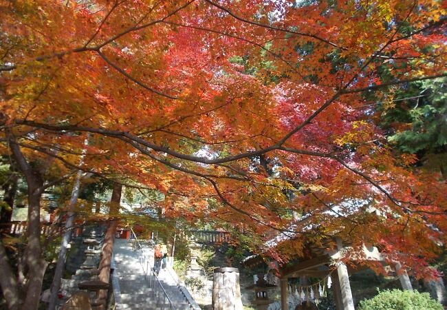 府中八幡神社