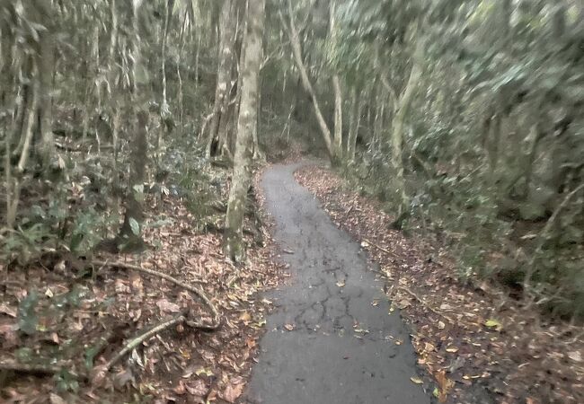 バーレイヘッズ