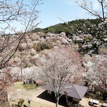 五郎平園地