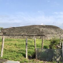 横から。戦闘機などを隠し守るためにたくさん作られていました。