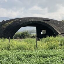 できる限りのアップ。やっぱり不気味だし怖いです。