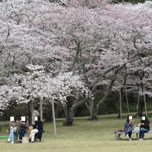 三神峯公園