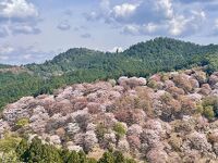 中千本公園