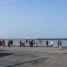 珍鳥を撮影しようと集まったカメラマン達