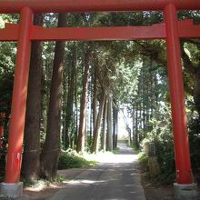 市道の建つ硬質塩化ビニール製鳥居は珍しく、鮮やかであるが心配