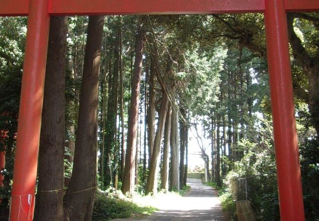 鹿島神宮の神域の広さを実感できる「北の一之鳥居」は、車でくぐれる。
