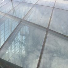 クラウド フォレスト