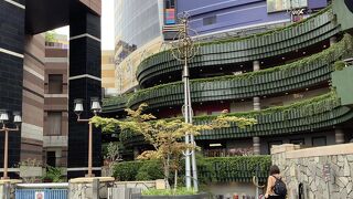 雨の日でも楽しめます