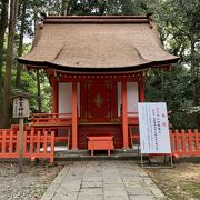 真新しい茅葺き屋根