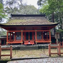 少し苔むした屋根