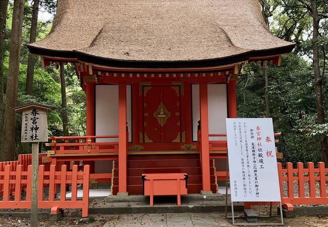 真新しい茅葺き屋根