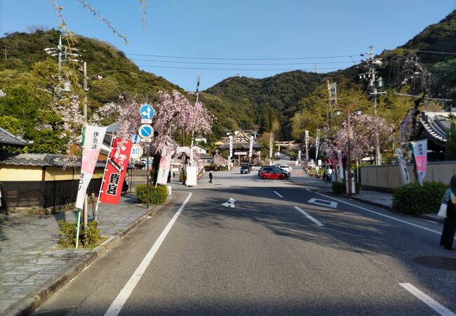 岐阜市のまつりといえばこれ