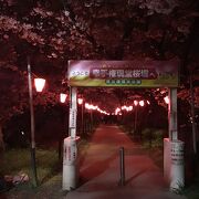 桜の町　、幸手にある　公園です。