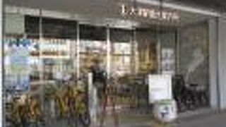 レンタサイクルで快適観光！