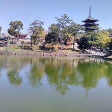 猿沢池と興福寺五重塔