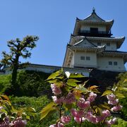 木造で再建した掛川城