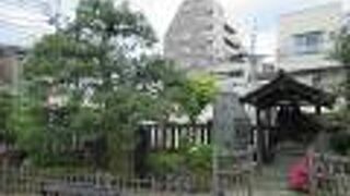 根岸御行の松 西蔵院不動尊