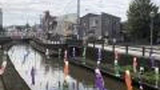 鯉のぼりがたくさん