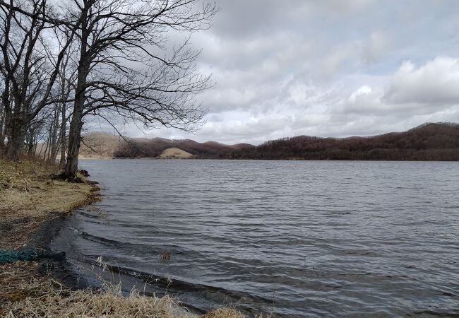 釧路湿原で一番大きな湖は野鳥の宝庫