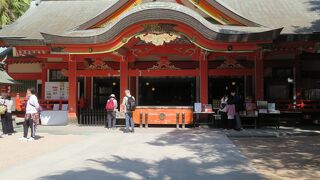 フォトジェニックなスポット「青島神社」