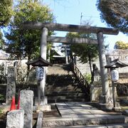 どこかの田舎にいるようなのんびりとした空気感の神社