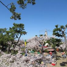 函館公園こどものくに