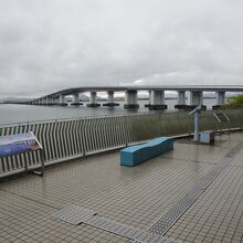 湖西から見た琵琶湖大橋