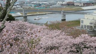 東日本大震災発生時には多くの人々が避難した高台の公園。春には桜の名所になります。