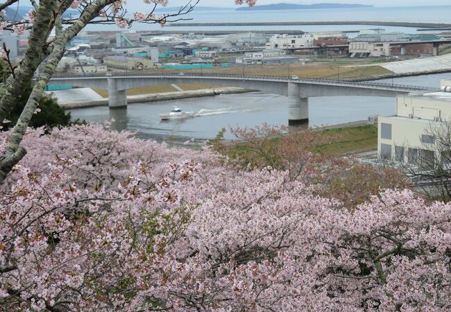 東日本大震災発生時には多くの人々が避難した高台の公園。春には桜の名所になります。