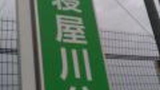 野球やテニスなどが行われています