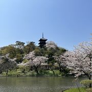 内苑に重文の建物が集まっている