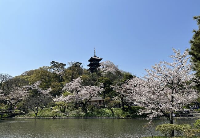 内苑に重文の建物が集まっている