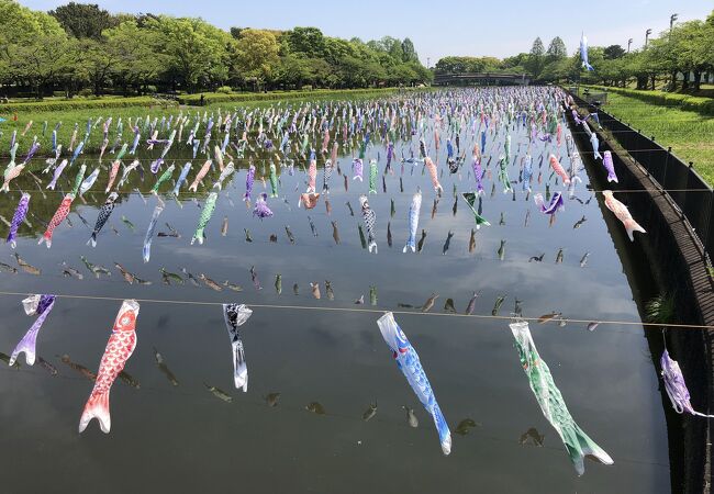こいのぼりの里まつり クチコミ・アクセス・周辺情報｜館林 - フォー
