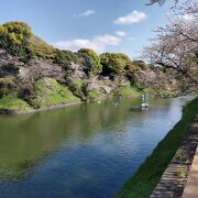 日本有数の桜の名所である千鳥ヶ淵緑道