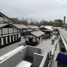 桜の馬場桜の小路