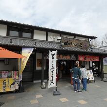 桜の馬場桜の小路