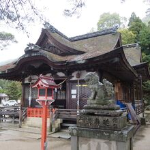 白髭神社本殿