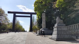東京の桜の標準木がある靖国神社