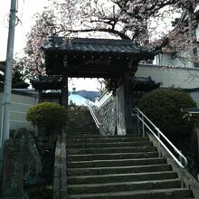 入口の石段。熱海桜が華を添えてました