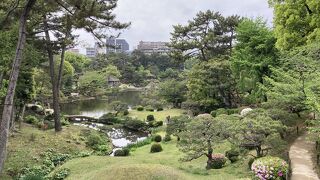静かな日本庭園