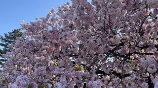 ひたすら平和空間