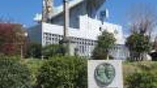 奇抜で目につきます