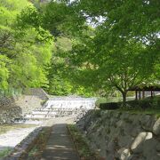 緑に包まれた静かな公園