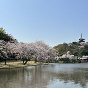 明治後半に、実業家・原三渓が作った日本庭園
