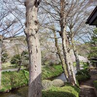 サロン的な部屋から見た新名庄川の桜。宿から川に降りられる。