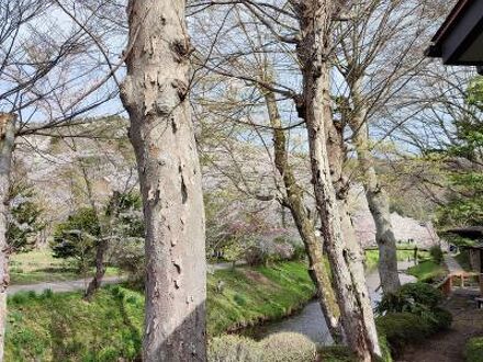 民宿 大橋荘 写真