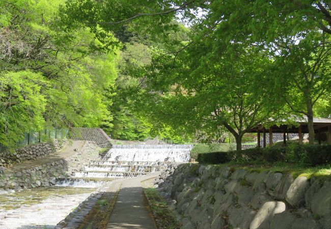 緑に包まれた静かな公園