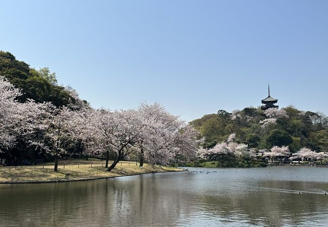 明治後半に、実業家・原三渓が作った日本庭園